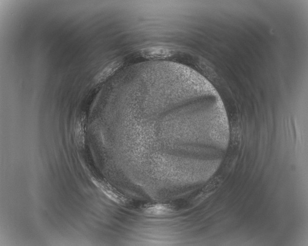 X0000078860460200612041937