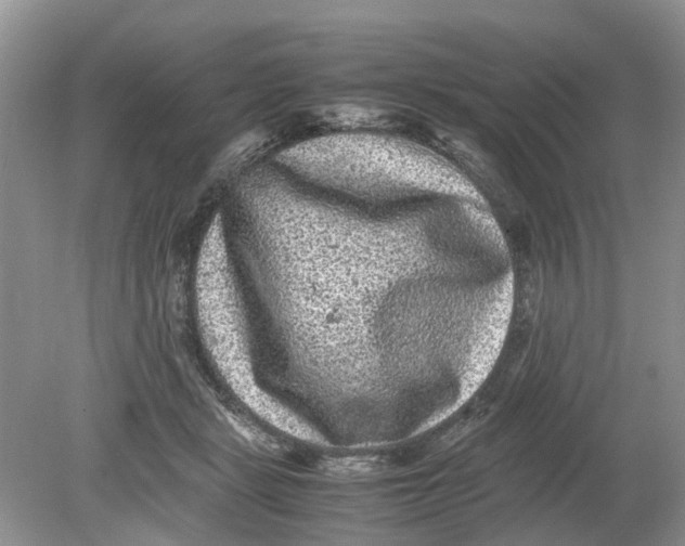 X0000078860461200612041937