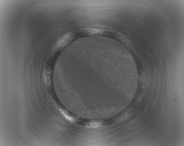 X0000078860462200612041937