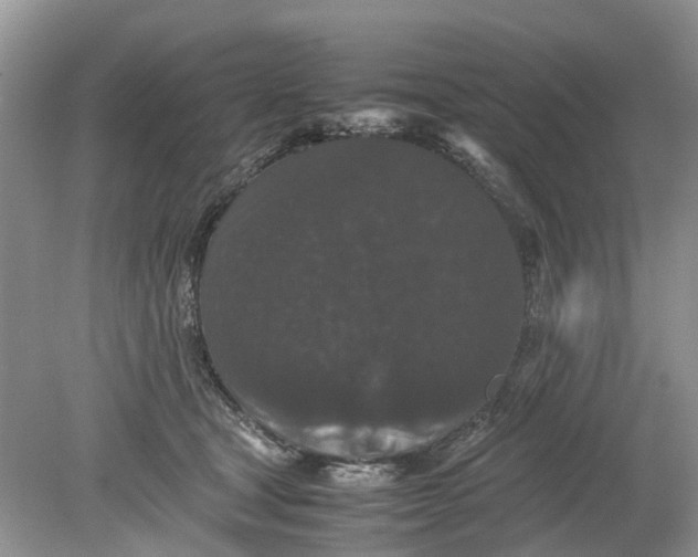 X0000078860465200612041937