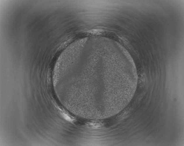 X0000078860466200612041937