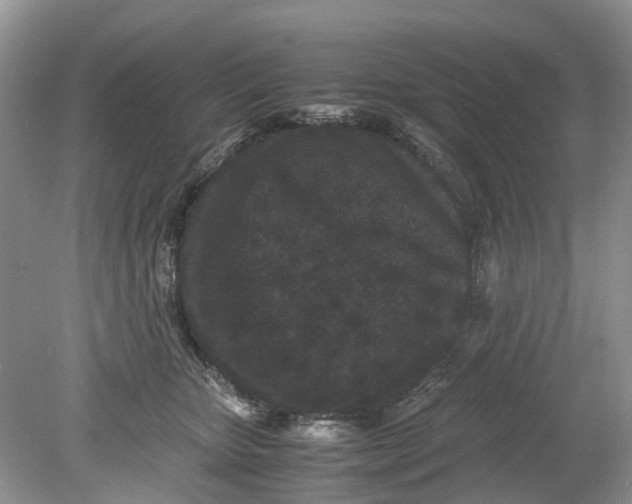 X0000078860467200612041937