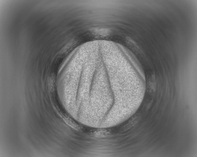 X0000078860468200612041937