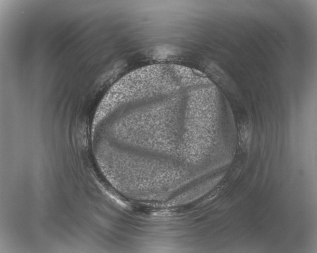 X0000078860470200612041937