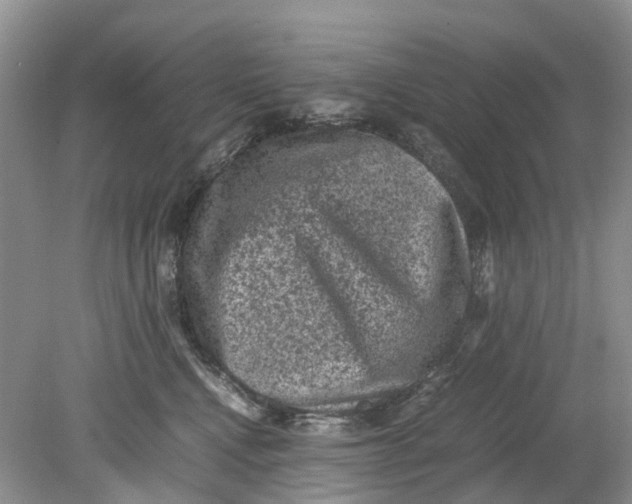 X0000078860472200612041937