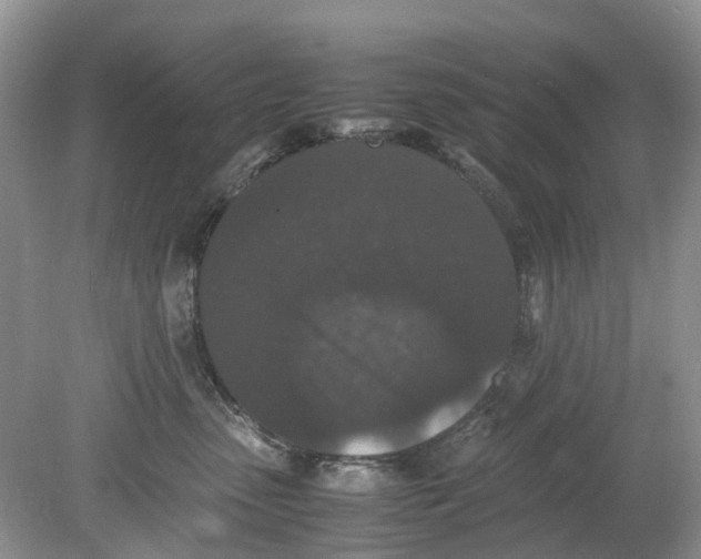 X0000078860475200612041937