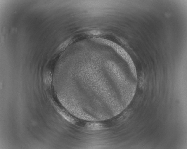 X0000078860476200612041937