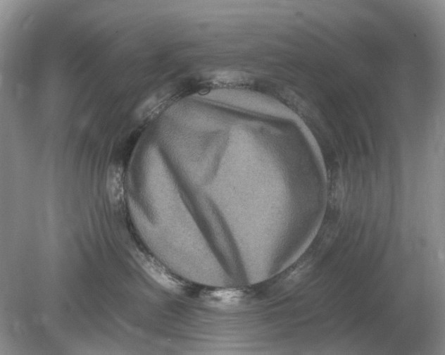 X0000078860478200612041937