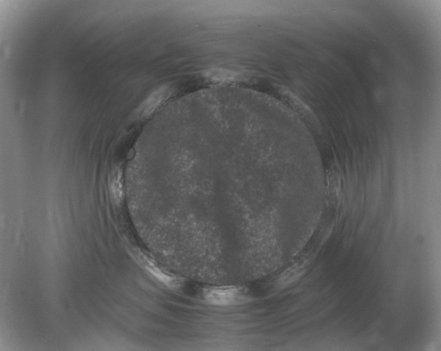 X0000078860479200612041937