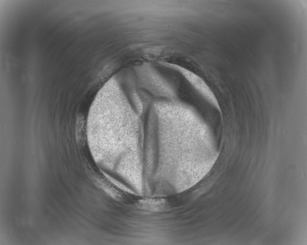 X0000078860480200612041937