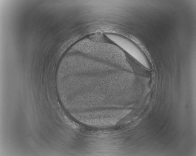 X0000078860481200612041936