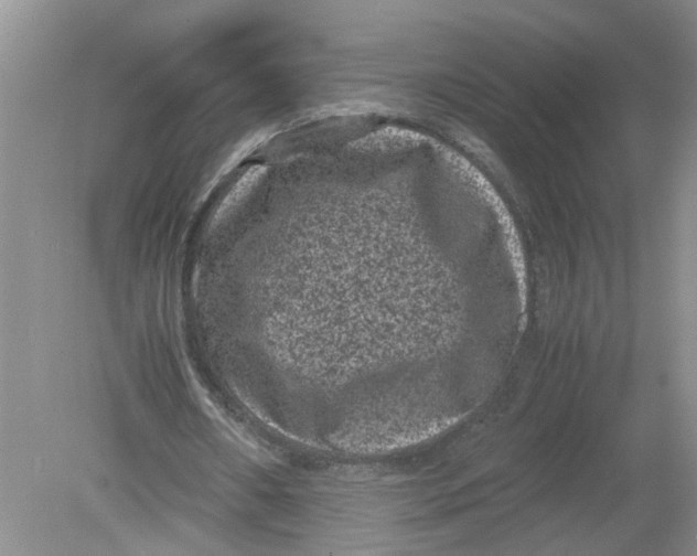 X0000078860482200612041936