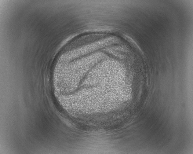 X0000078860483200612041936