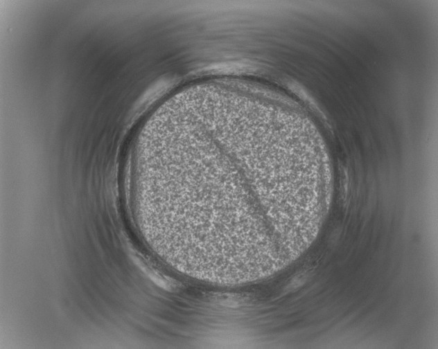 X0000078860486200612041936