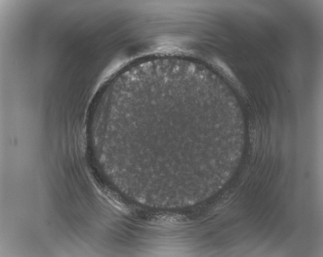 X0000078860488200612041936