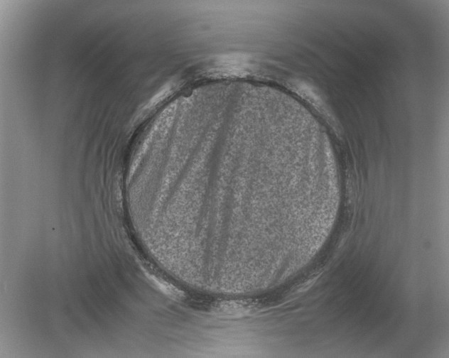 X0000078860489200612041936