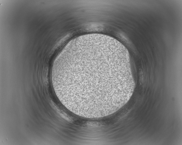 X0000078860490200612041936