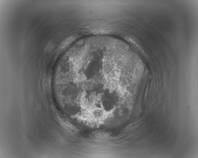 X0000078860491200612041936