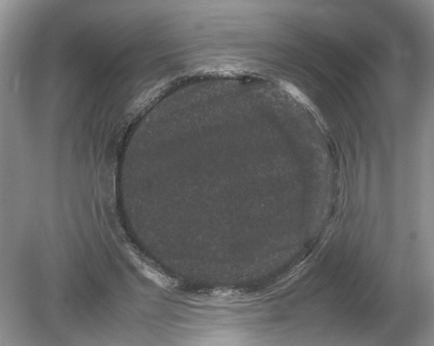 X0000078860493200612041936