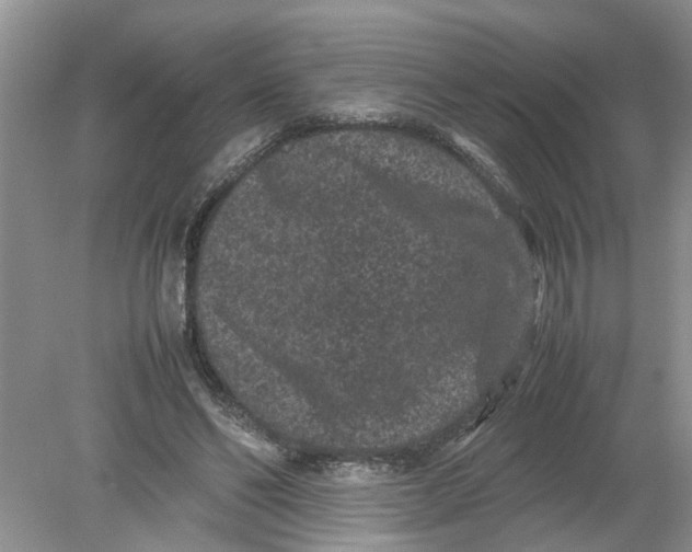 X0000078860494200612041936