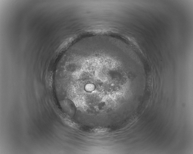 X0000078860495200612041936