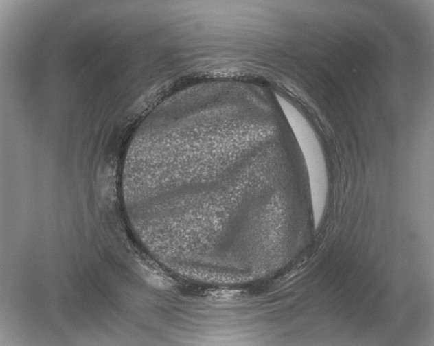 X0000078860497200612041936