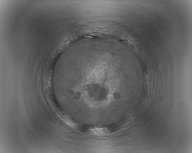 X0000078860499200612041936