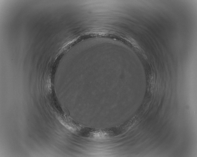 X0000078860500200612041936