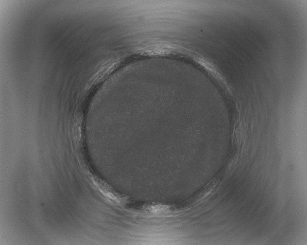 X0000078860501200612041936