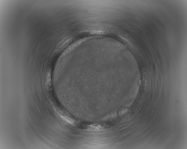 X0000078860502200612041936