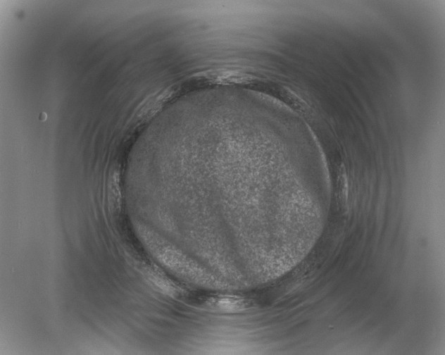 X0000078860506200612041936