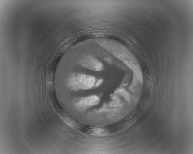 X0000078860507200612041936