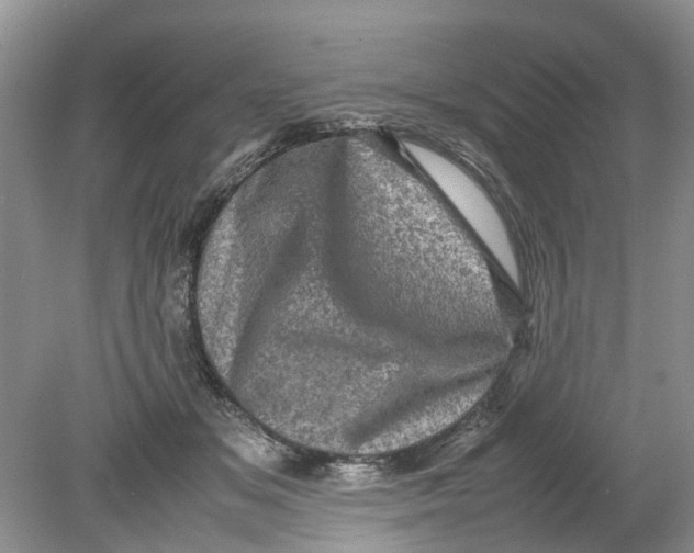 X0000078860509200612041936