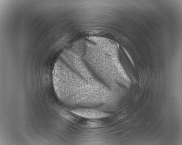 X0000078860510200612041936