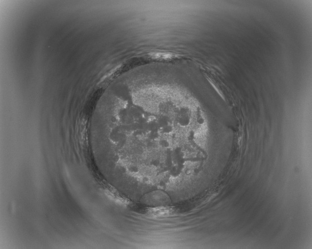 X0000078860511200612041936