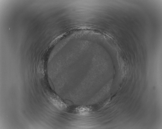 X0000078860512200612041935