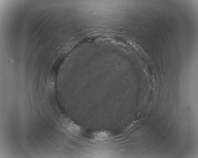 X0000078860513200612041935