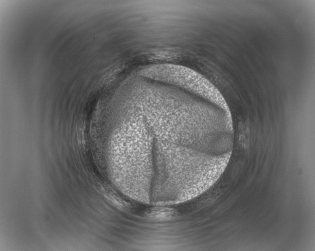 X0000078860514200612041935