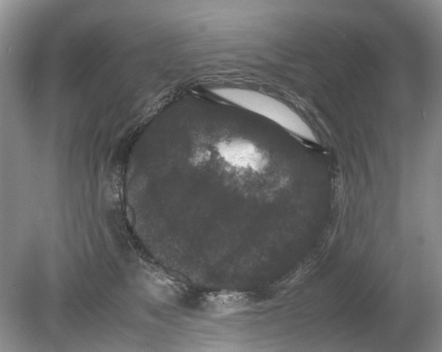 X0000078860517200612041935