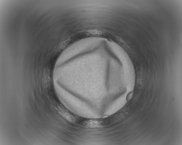 X0000078860518200612041935