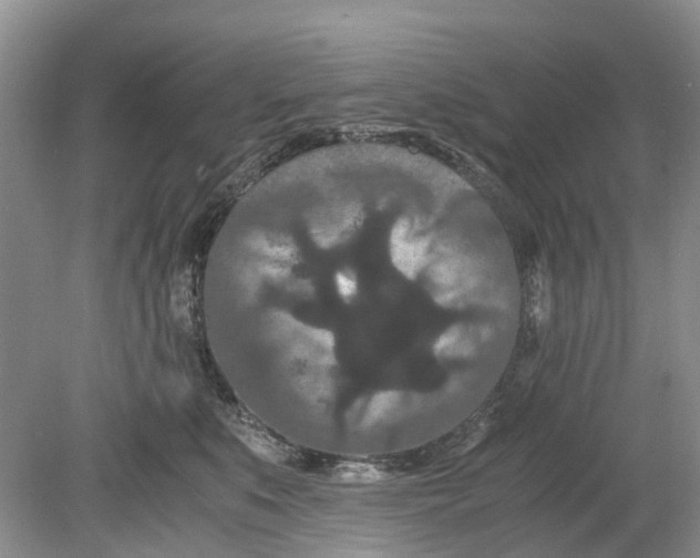 X0000078860519200612041935