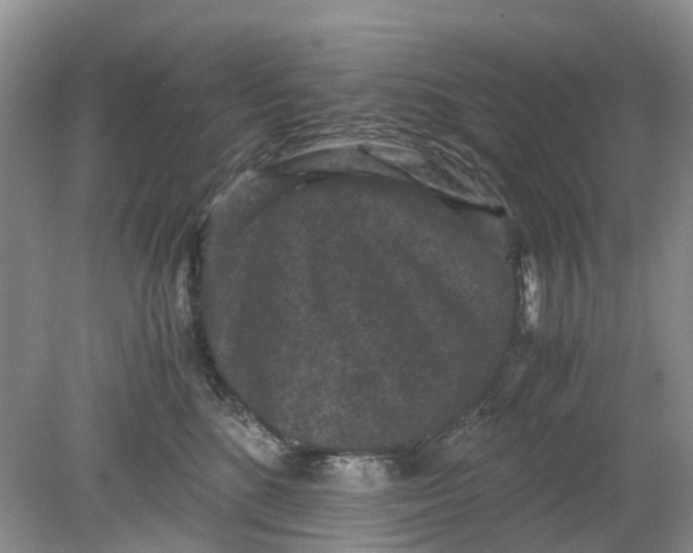 X0000078860520200612041935