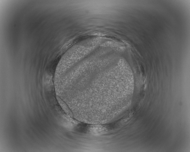 X0000078860521200612041935