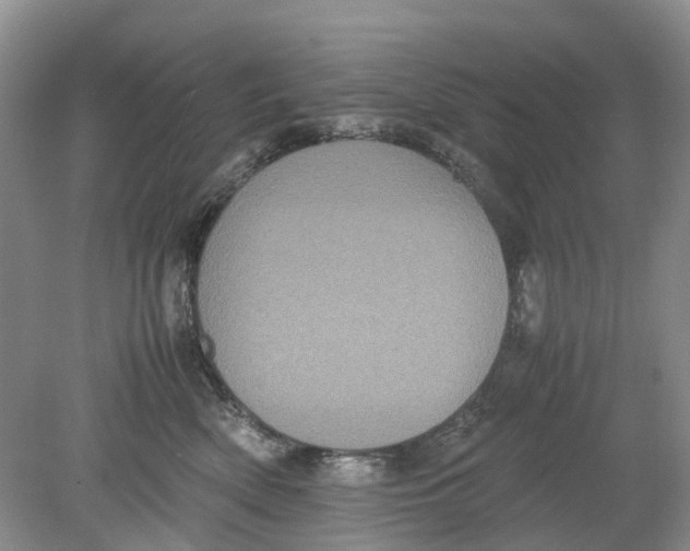 X0000078860522200612041935