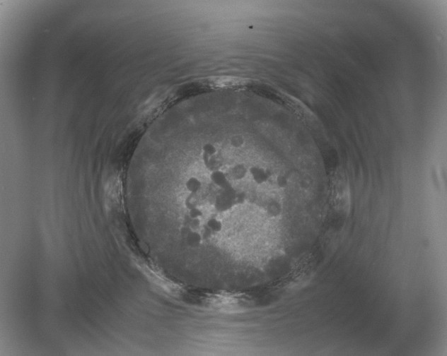 X0000078860523200612041935