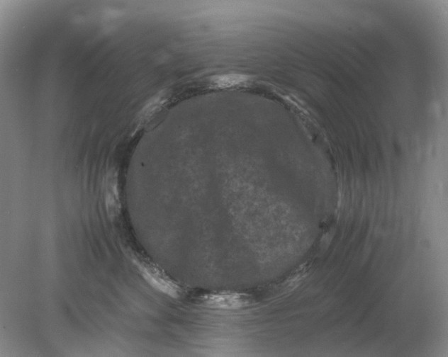 X0000078860524200612041935