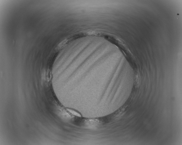 X0000078860525200612041935