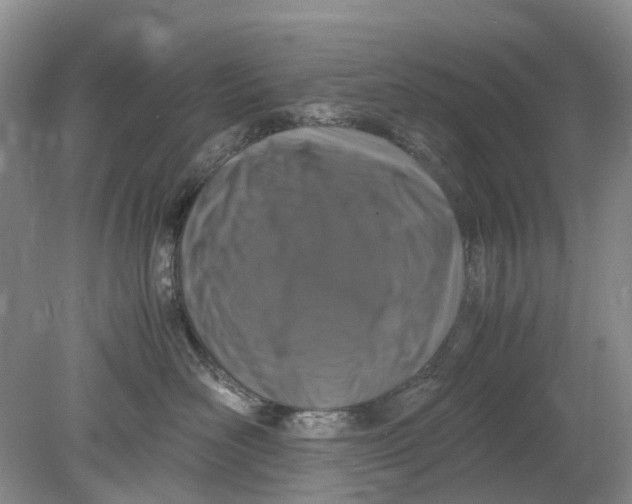 X0000078860526200612041935