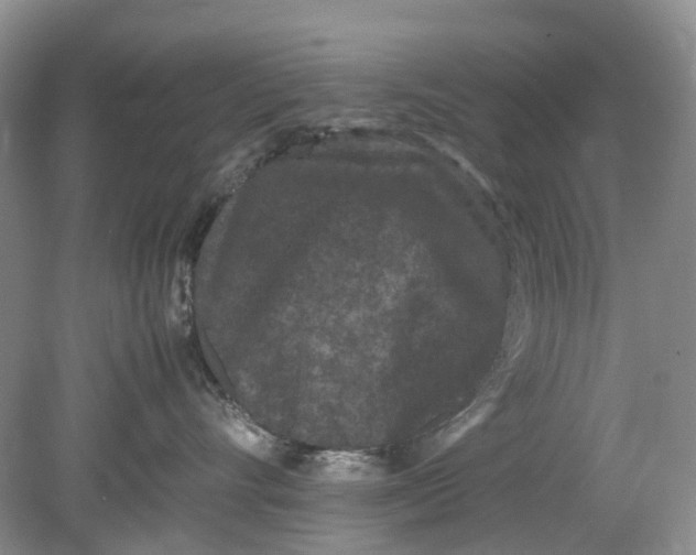 X0000078860528200612041935