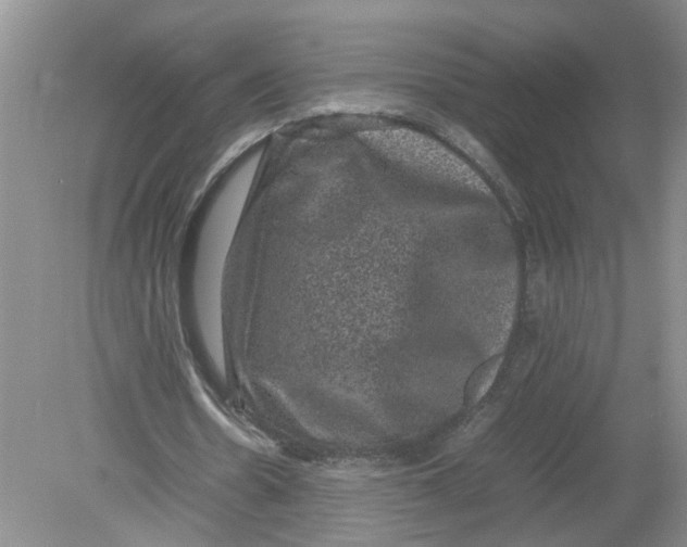 X0000078860530200612041934